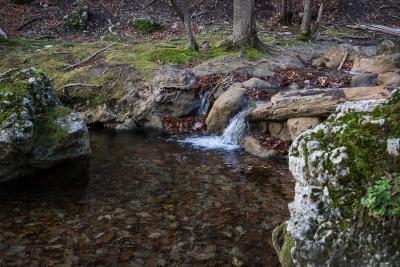 Прикрепленное изображение: IMG_9780 копия.jpg